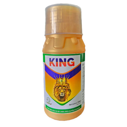King